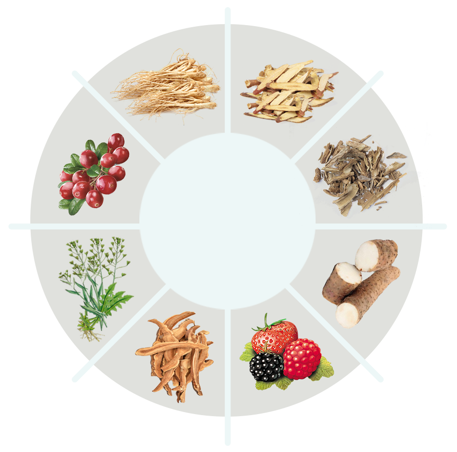 MaroBrain ingredient circle